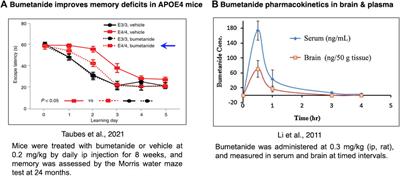 Evaluation of bumetanide as a potential therapeutic agent for Alzheimer’s disease